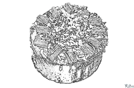 tort Pagini De Colorat Imprimabile